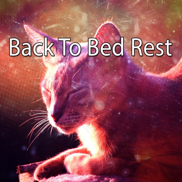 Couverture de Back To Bed Rest