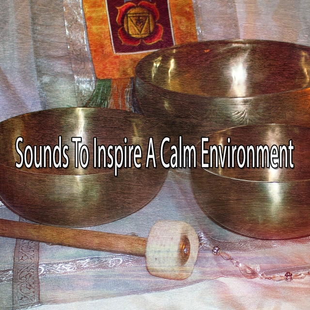 Couverture de Sounds To Inspire A Calm Environment