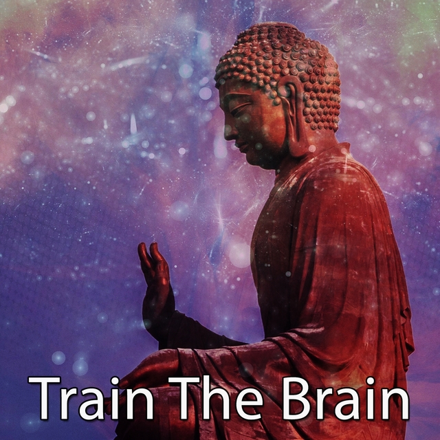 Couverture de Train The Brain