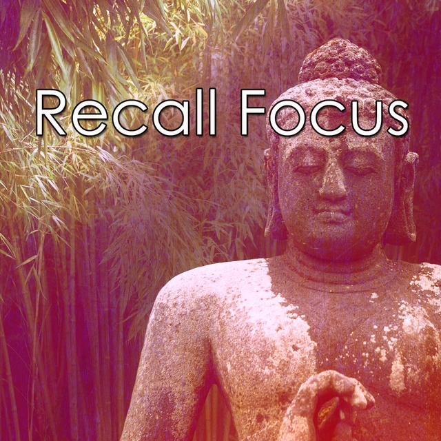 Recall Focus