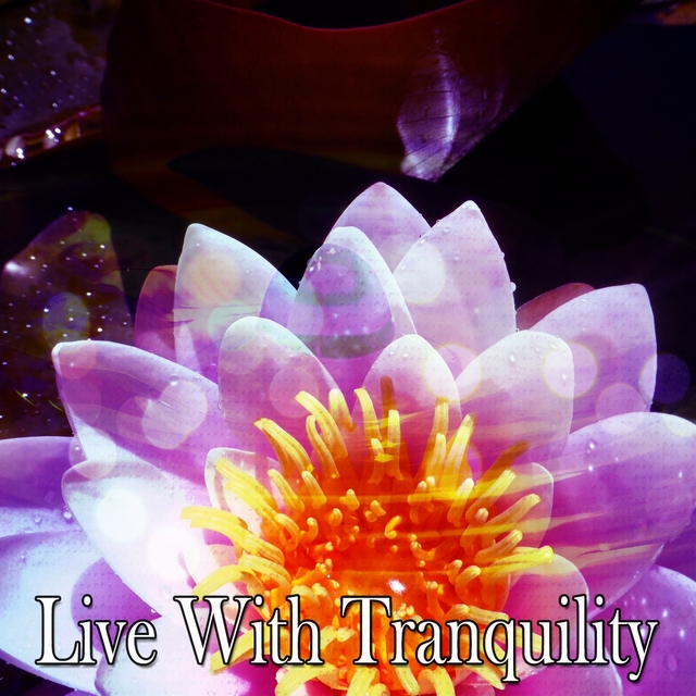 Live With Tranquility