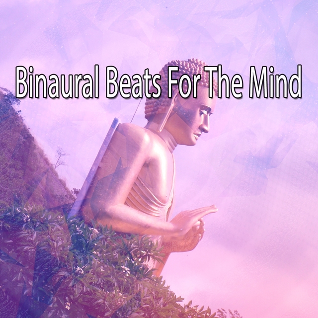 Couverture de Binaural Beats For The Mind