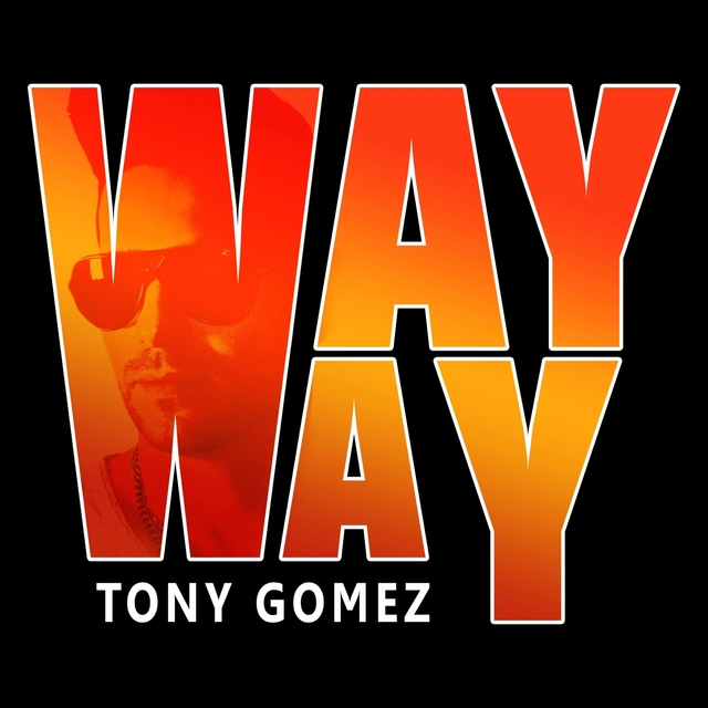 Couverture de Way Way