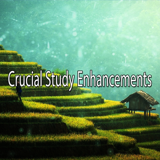 Couverture de Crucial Study Enhancements