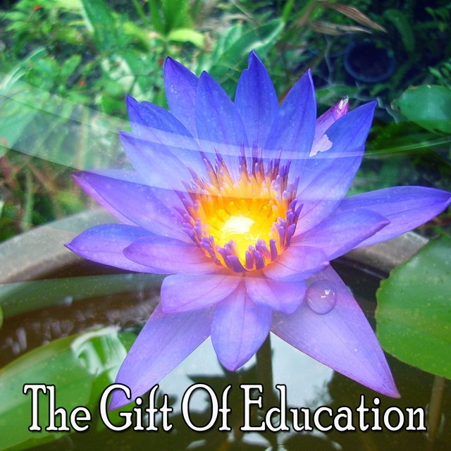 The Gift Of Education