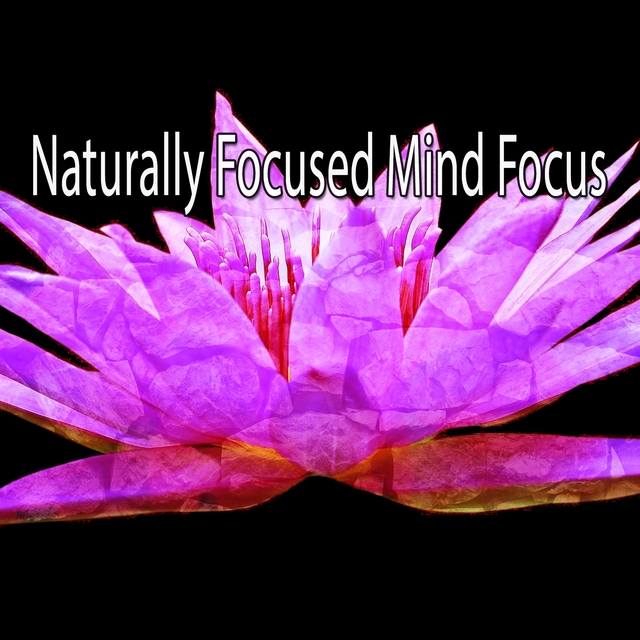 Naturally Focused Mind Focus