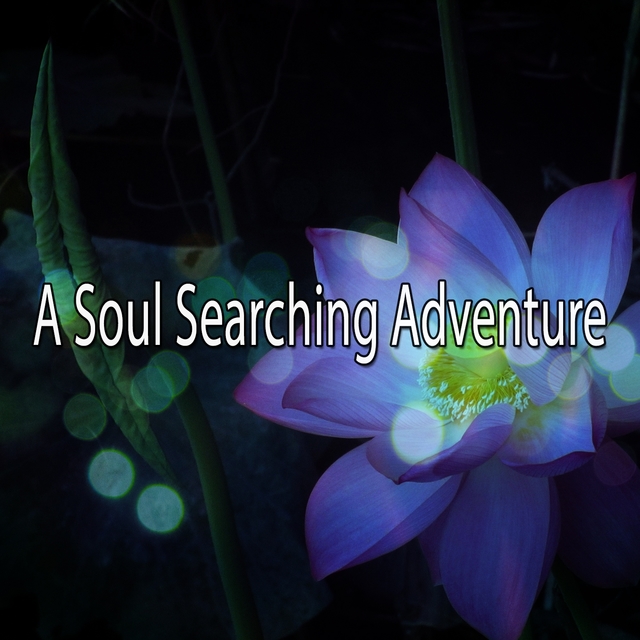 Couverture de A Soul Searching Adventure