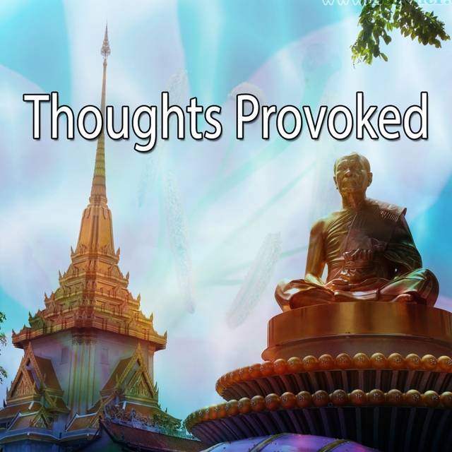 Thoughts Provoked