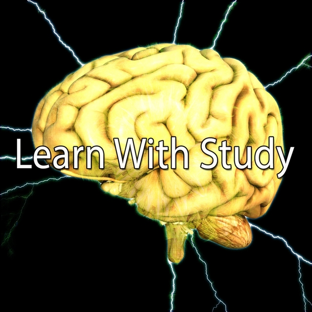 Learn With Study