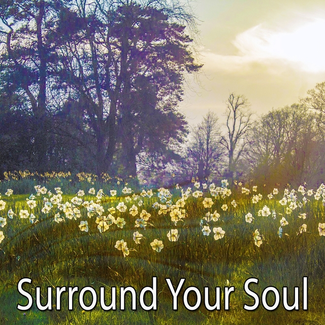 Surround Your Soul