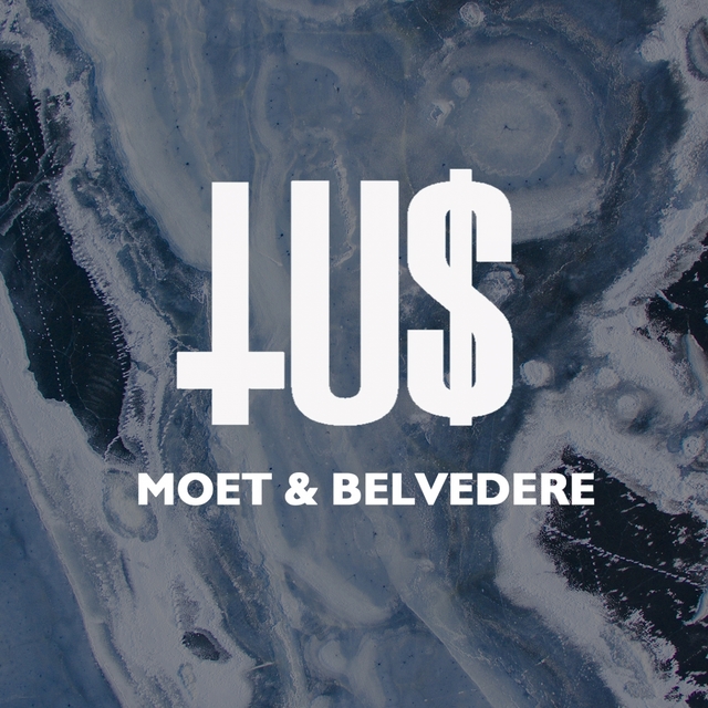 Couverture de Moët & Belvedere