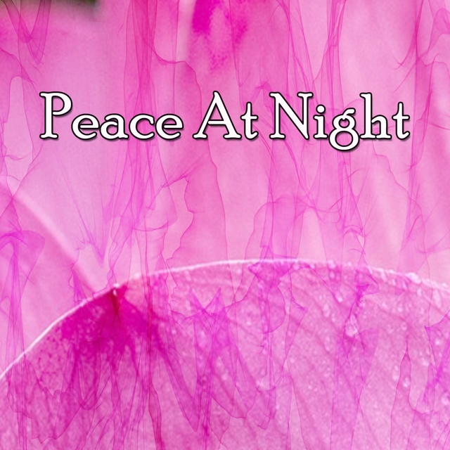 Couverture de Peace At Night