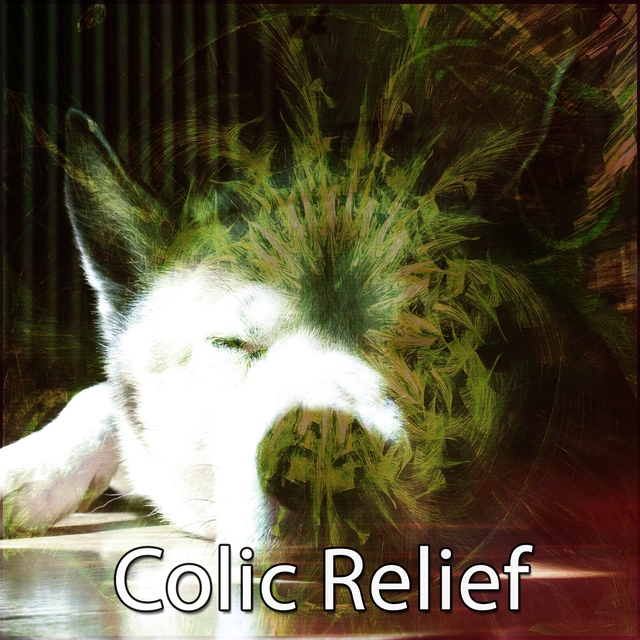 Colic Relief