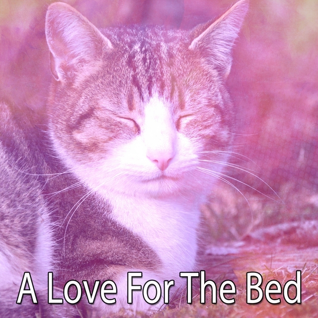 Couverture de A Love For The Bed