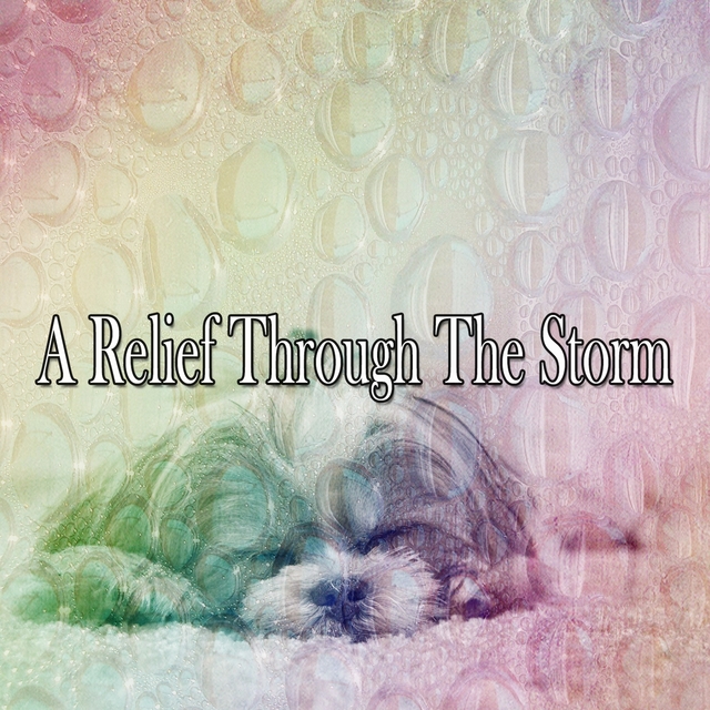 Couverture de A Relief Through The Storm