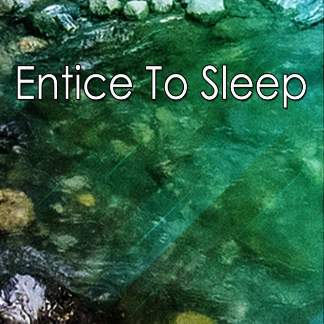 Couverture de Entice To Sleep