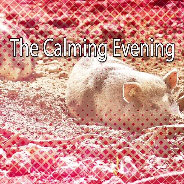 The Calming Evening