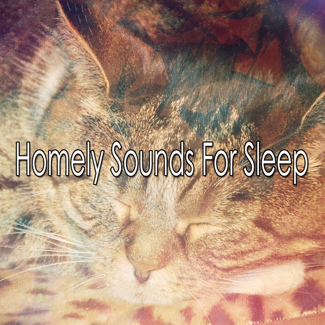 Couverture de Homely Sounds For Sleep