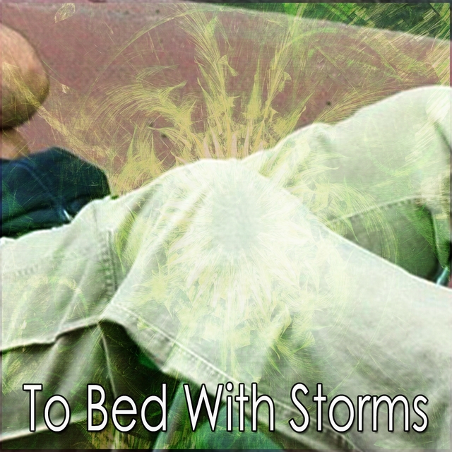 Couverture de To Bed With Storms