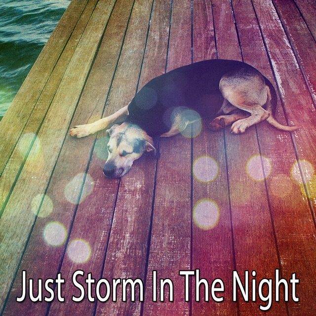 Just Storm In The Night