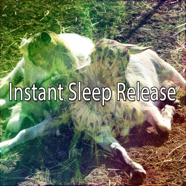 Couverture de Instant Sleep Release