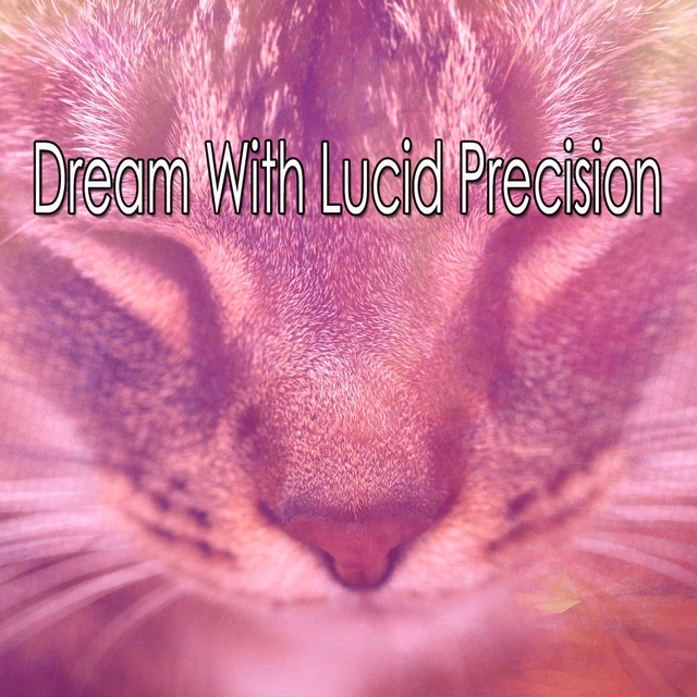 Dream With Lucid Precision