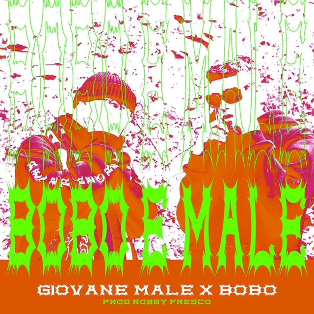 Couverture de Bobo & male