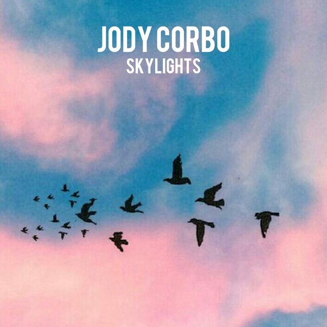 Couverture de Skylights