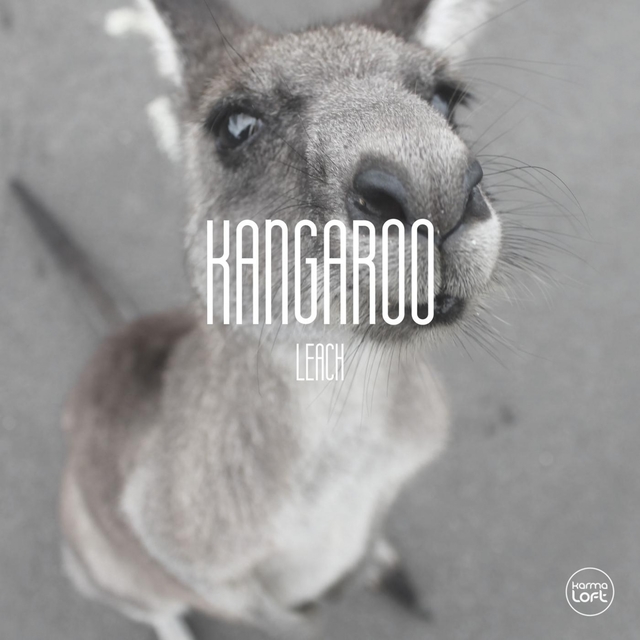 Couverture de Kangaroo