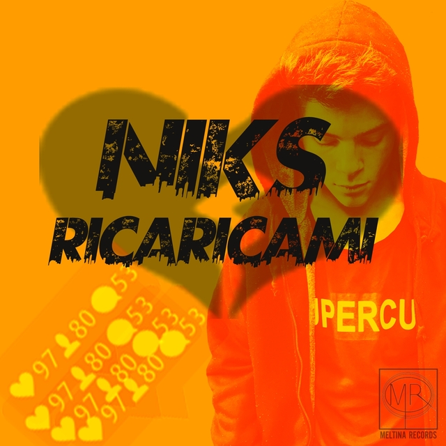 Couverture de Ricaricami