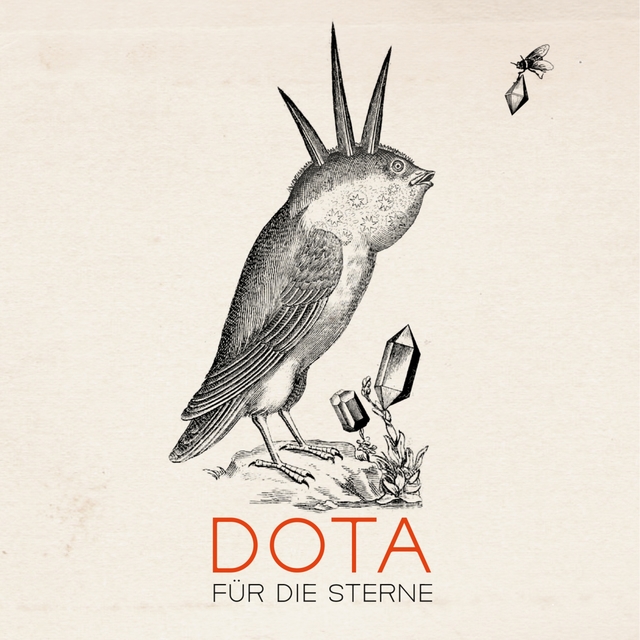 Couverture de Für die Sterne