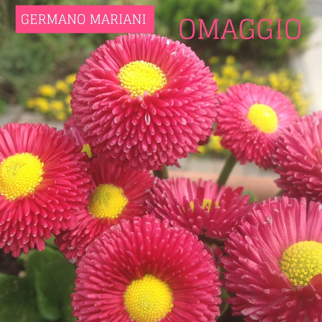 Couverture de Omaggio