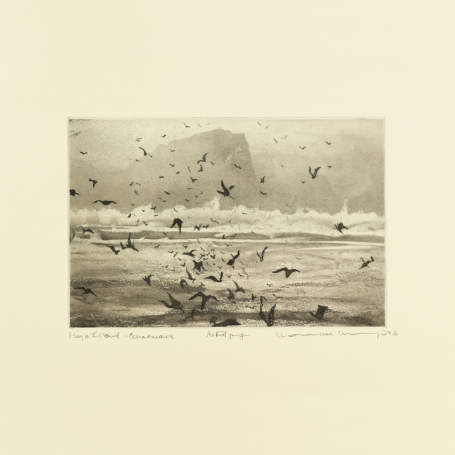 Couverture de Murmuration