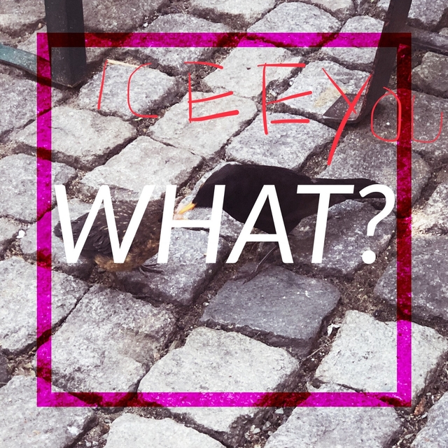 Couverture de What?