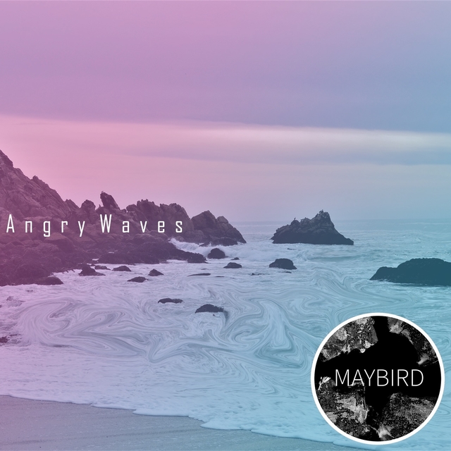 Couverture de Angry Waves
