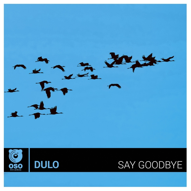 Couverture de Say Goodbye