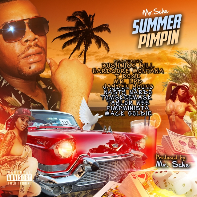 Couverture de Summer Pimpin