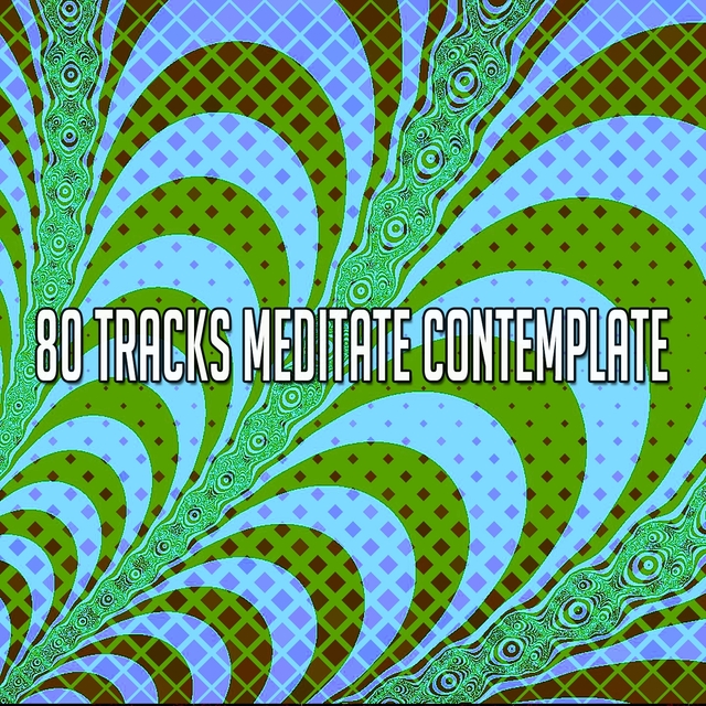 Couverture de 80 Tracks Meditate Contemplate