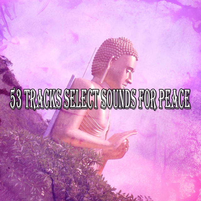 Couverture de 53 Tracks Select Sounds For Peace