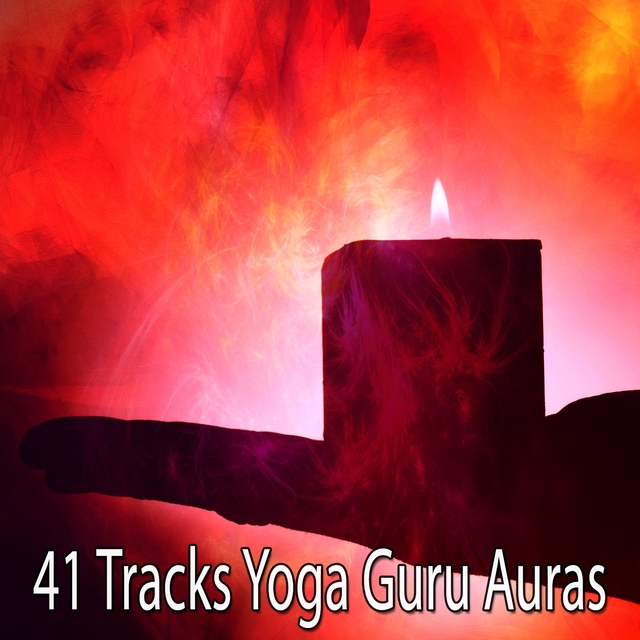 Couverture de 41 Tracks Yoga Guru Auras