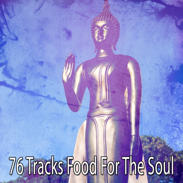 Couverture de 76 Tracks Food For The Soul