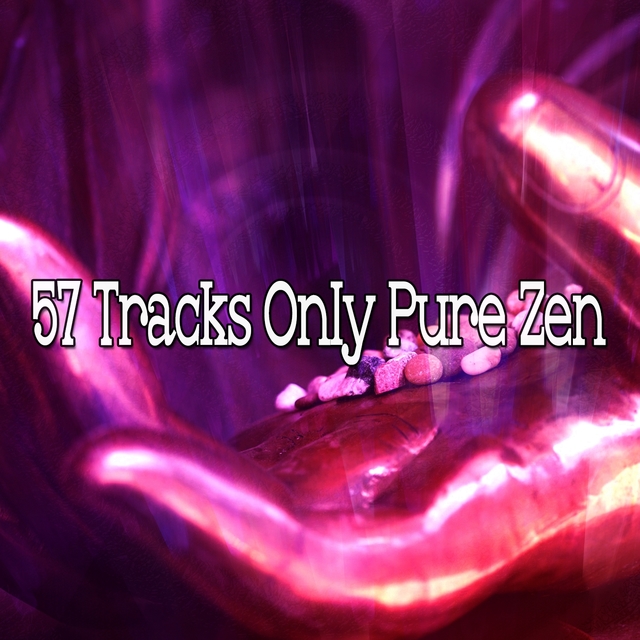 Couverture de 57 Tracks Only Pure Zen