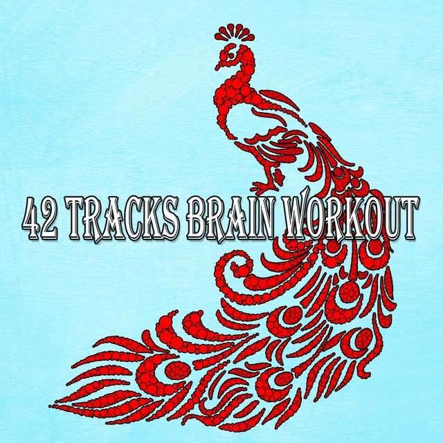 Couverture de 42 Tracks Brain Workout