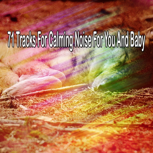 Couverture de 71 Tracks For Calming Noise For You And Baby