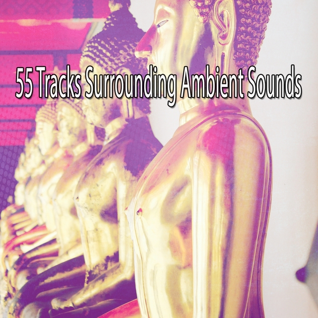 Couverture de 55 Tracks Surrounding Ambient Sounds