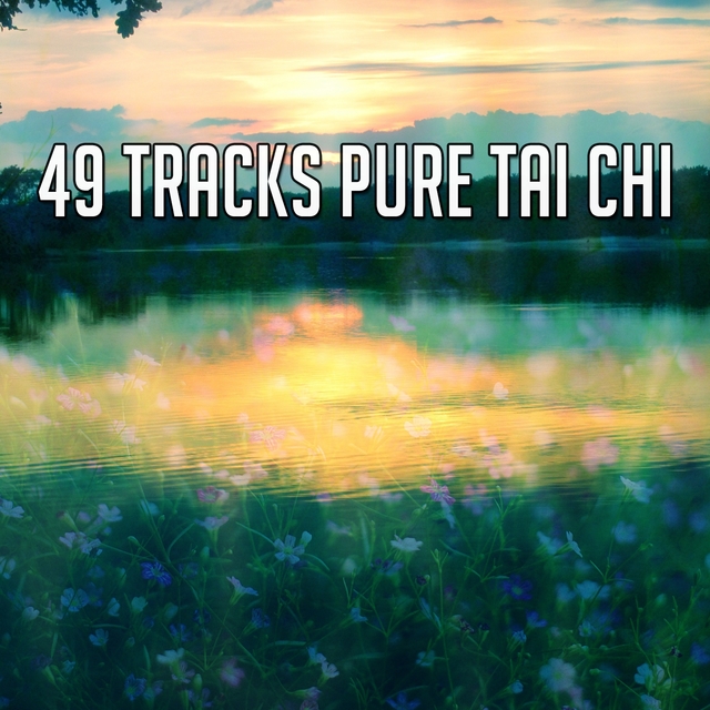 Couverture de 49 Tracks Pure Tai Chi