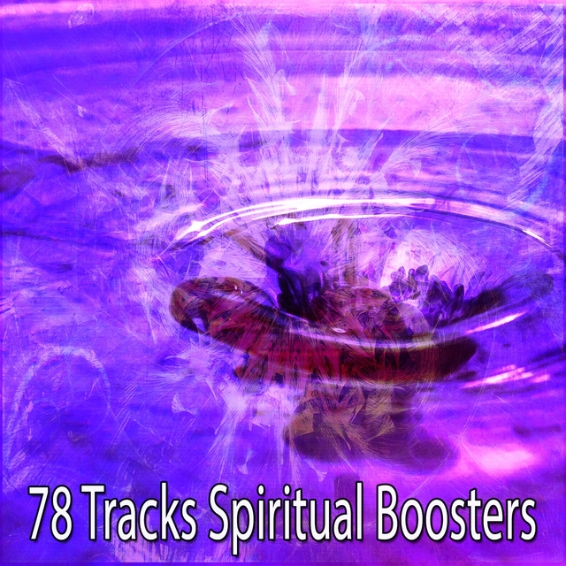 Couverture de 78 Tracks Spiritual Boosters