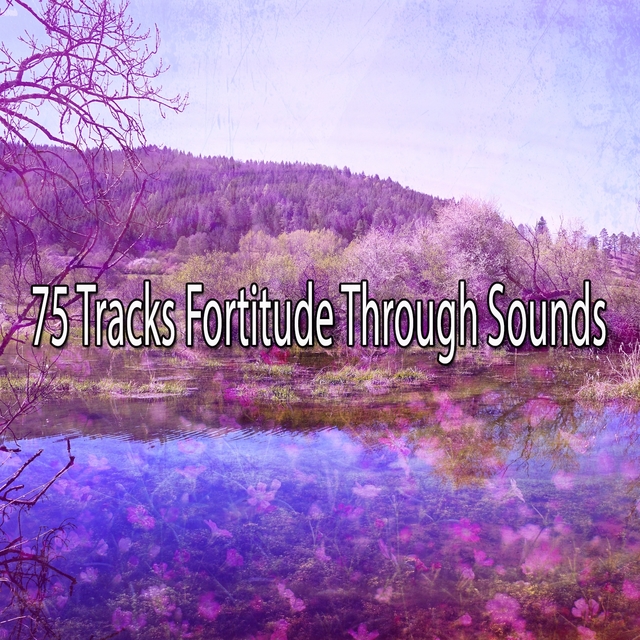 75 Tracks Fortitude Through Sounds