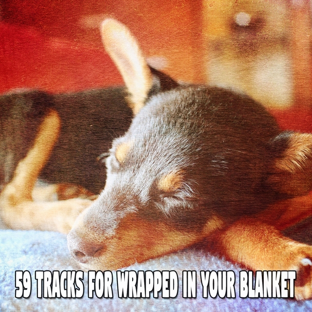 59 Tracks For Wrapped In Your Blanket