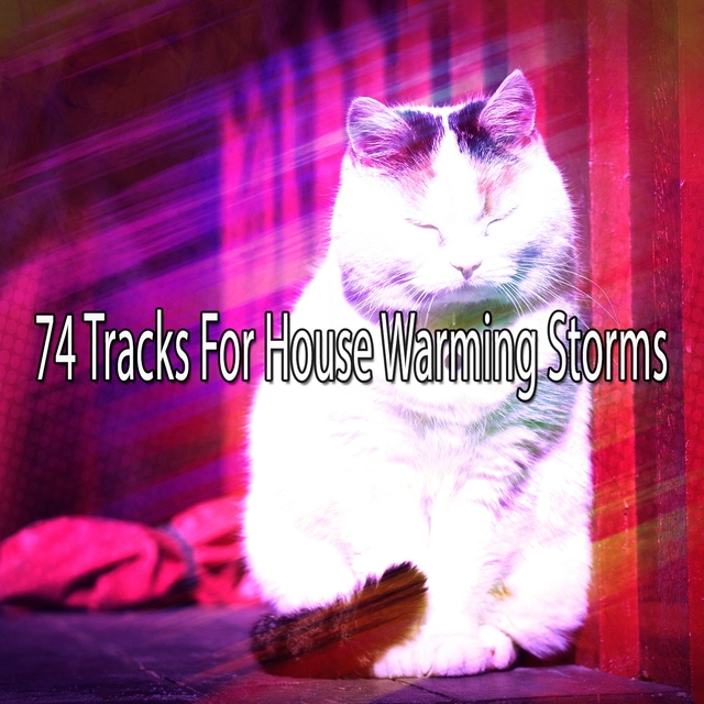 Couverture de 74 Tracks For House Warming Storms